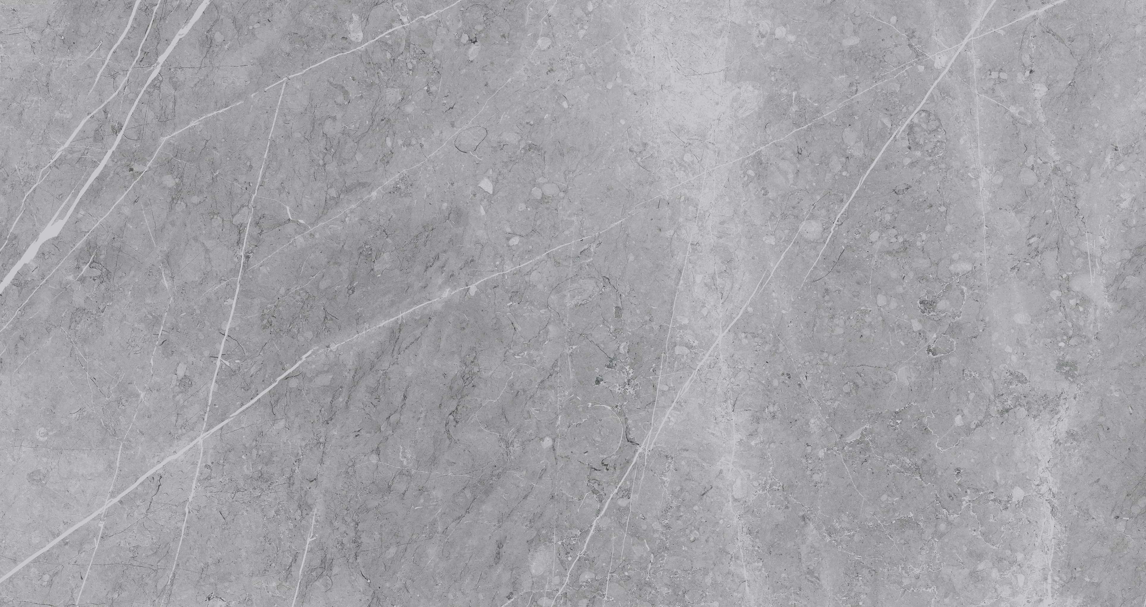 Gạch cao cấp có chức năng diệt khuẩn FLORINA - FL126MS4 kích thước 60X120 cm