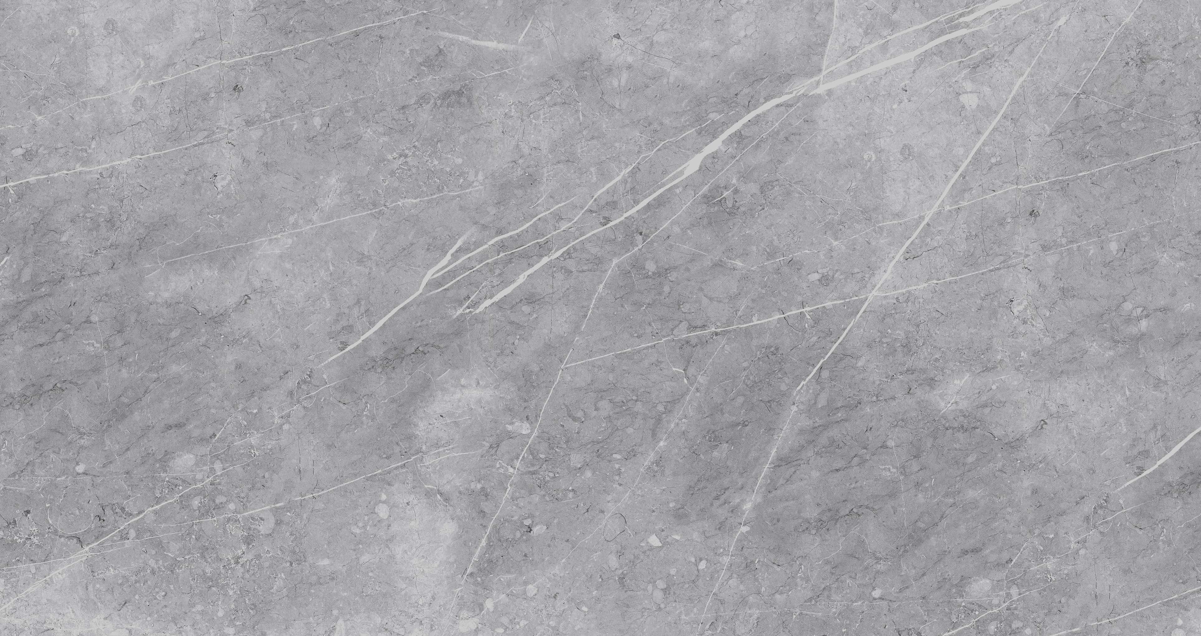 Gạch cao cấp có chức năng diệt khuẩn FLORINA - FL126MS4 kích thước 60X120 cm