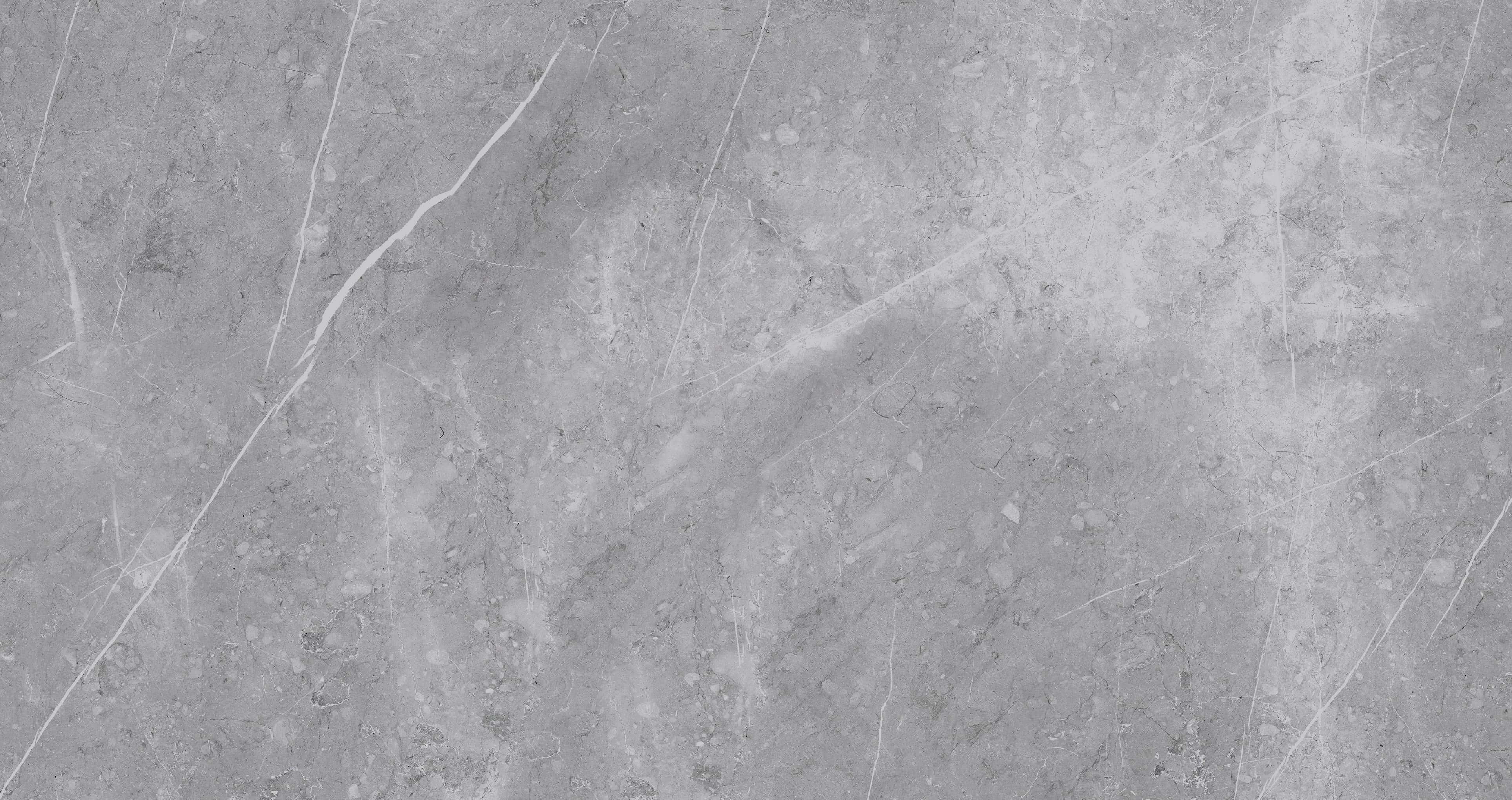 Gạch cao cấp có chức năng diệt khuẩn FLORINA - FL126MS4 kích thước 60X120 cm