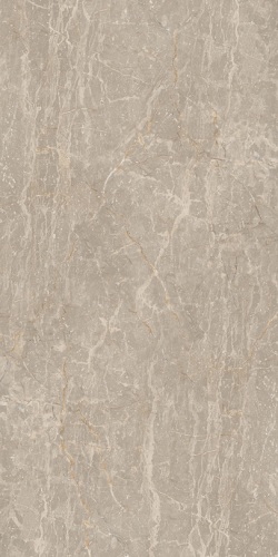 Gạch granite Đồng Tâm 4080FANSIPAN001-FP-H+