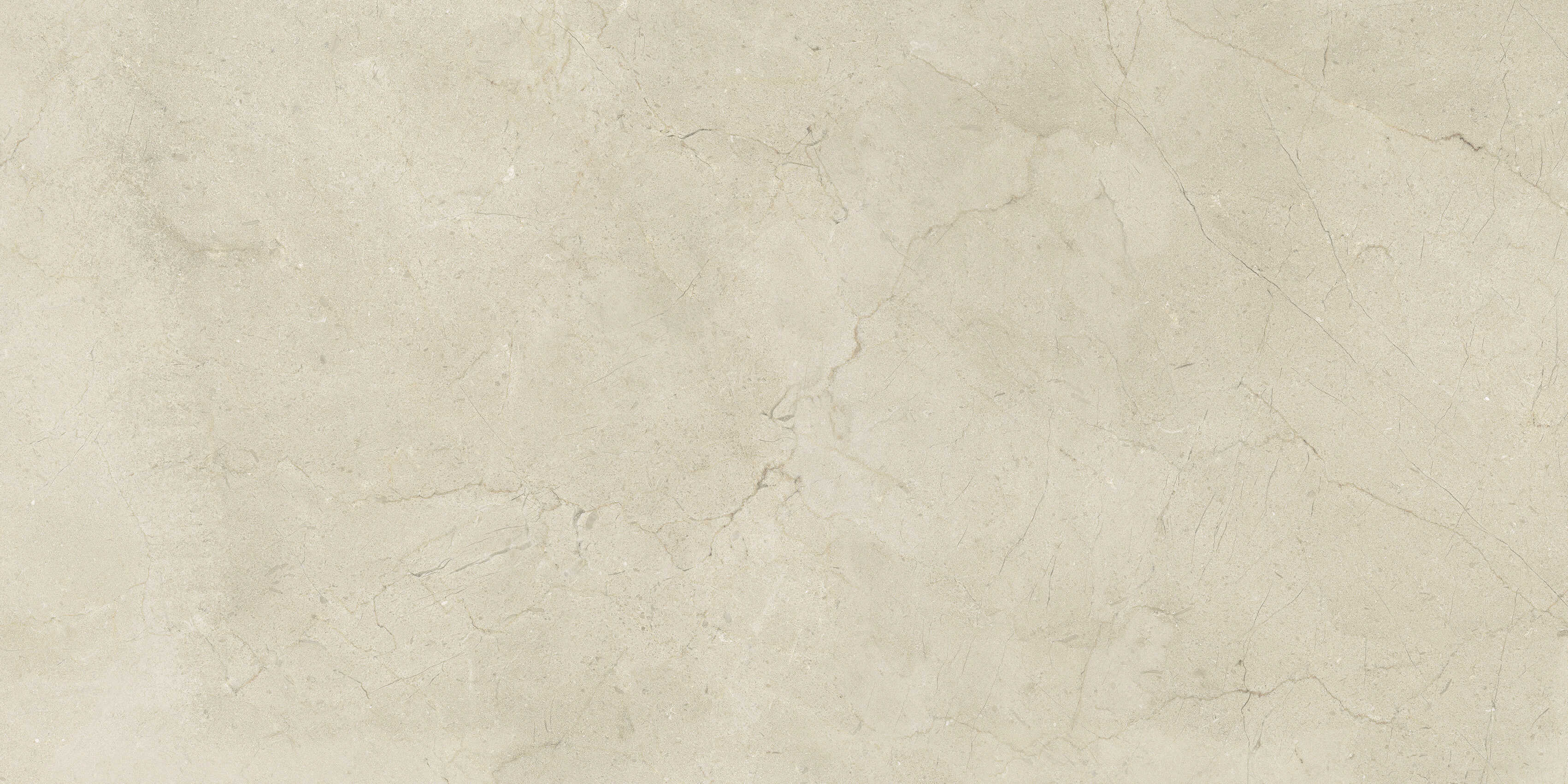 Gạch cao cấp có chức năng diệt khuẩn FLORINA - FL126M8 kích thước 60X120 cm