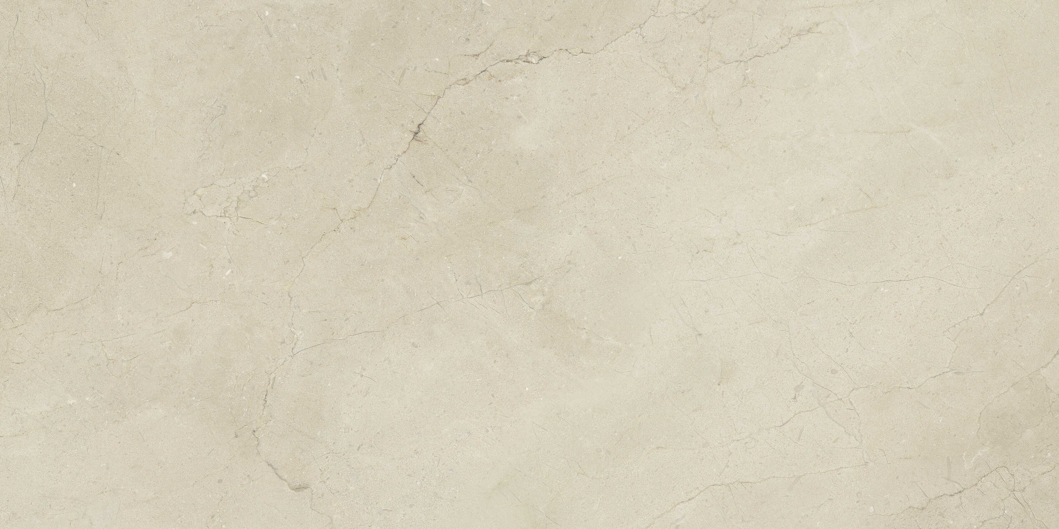 Gạch cao cấp có chức năng diệt khuẩn FLORINA - FL126M8 kích thước 60X120 cm