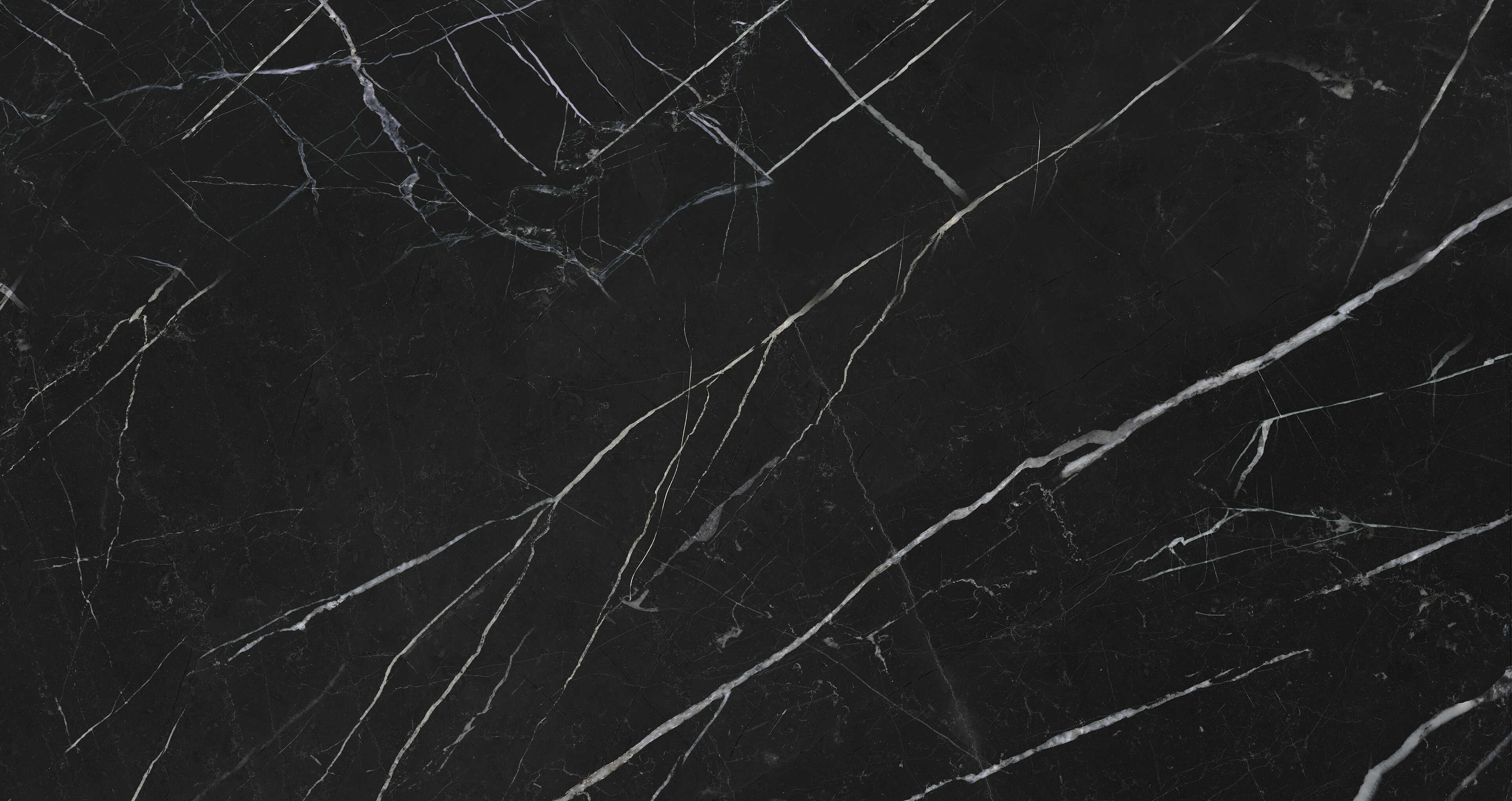 Gạch cao cấp có chức năng diệt khuẩn FLORINA - FL126M6 kích thước 60X120 cm