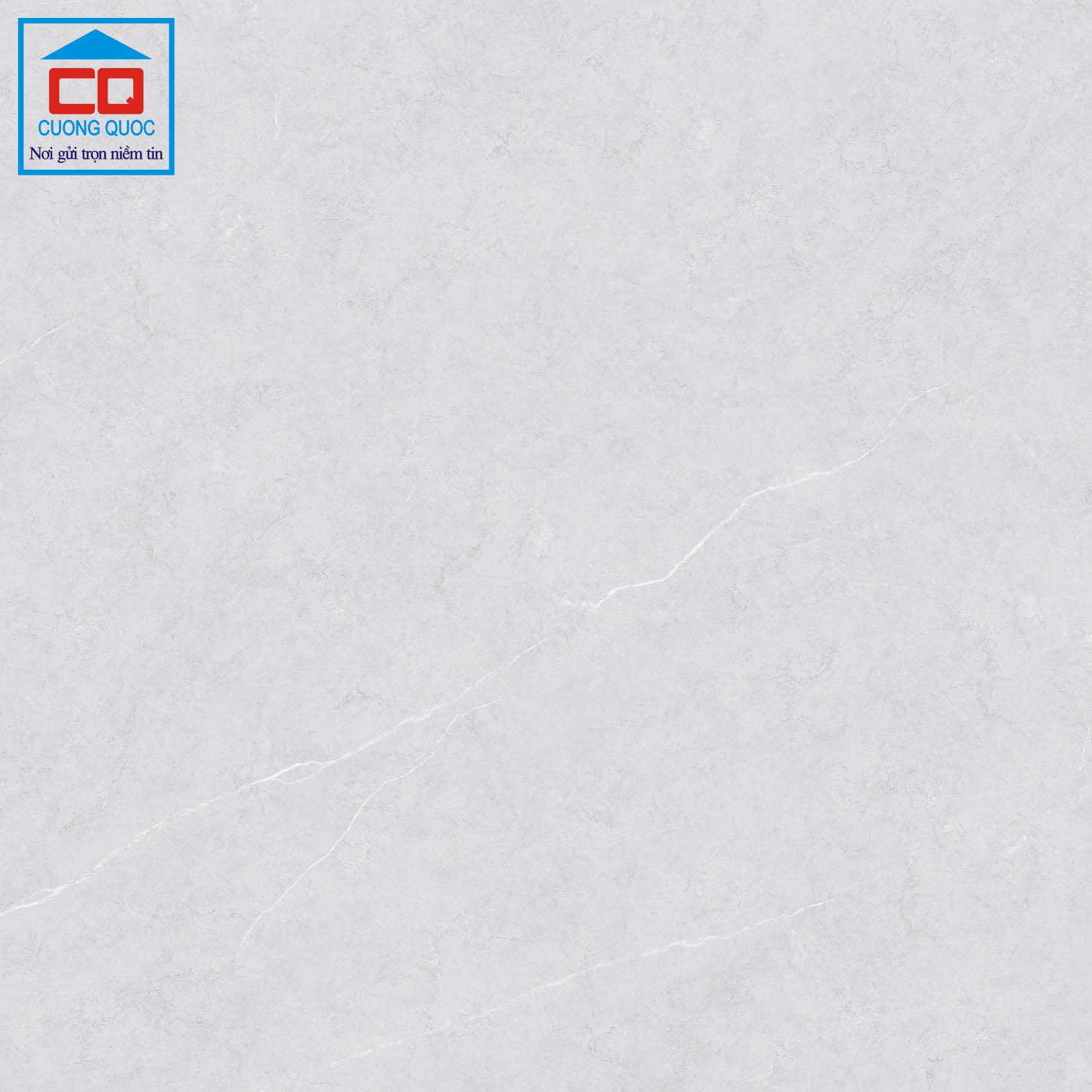 Gạch lát nền Việt Ý 80x80 VY1-P88004
