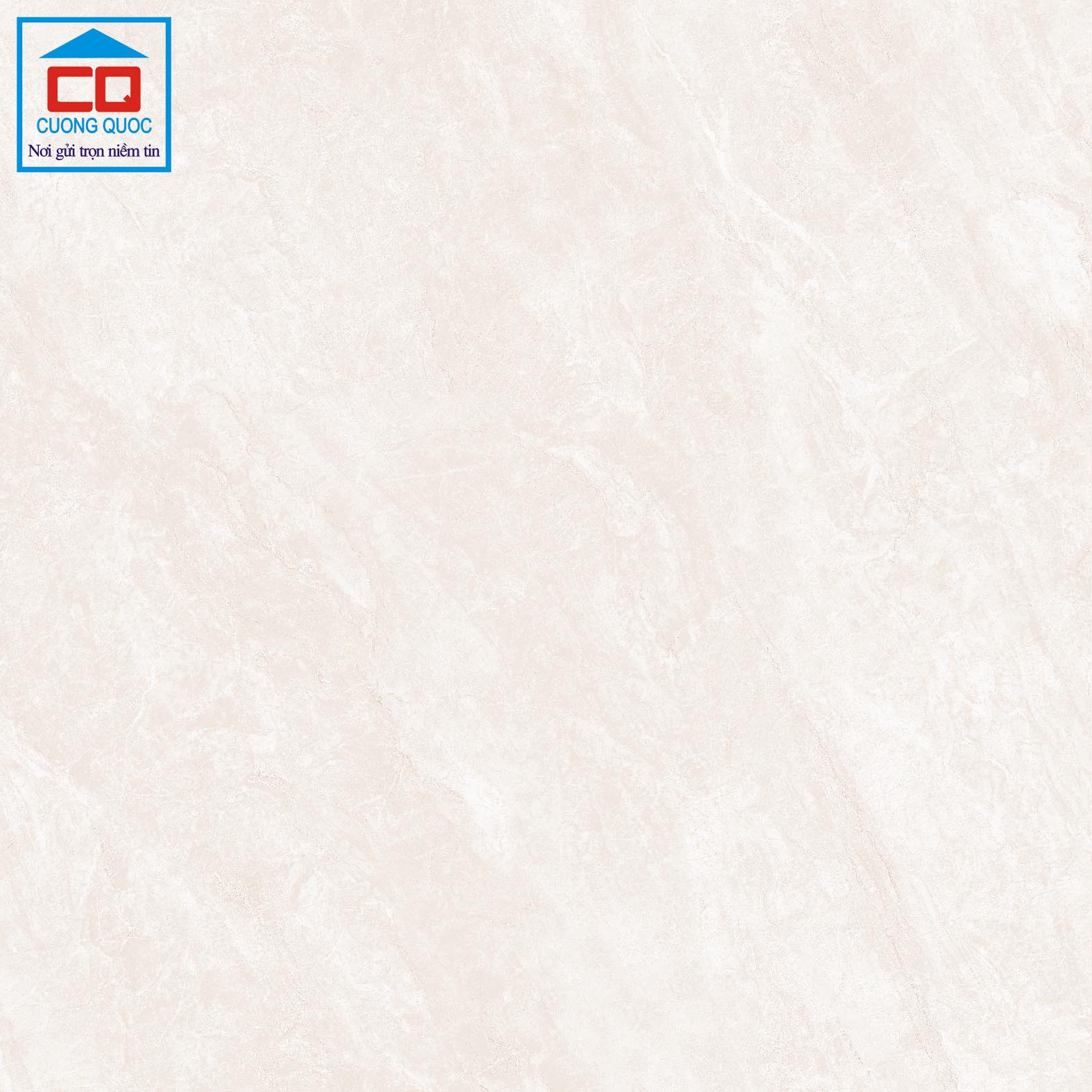 Gạch lát nền Việt Ý 80x80 VY1-P88007