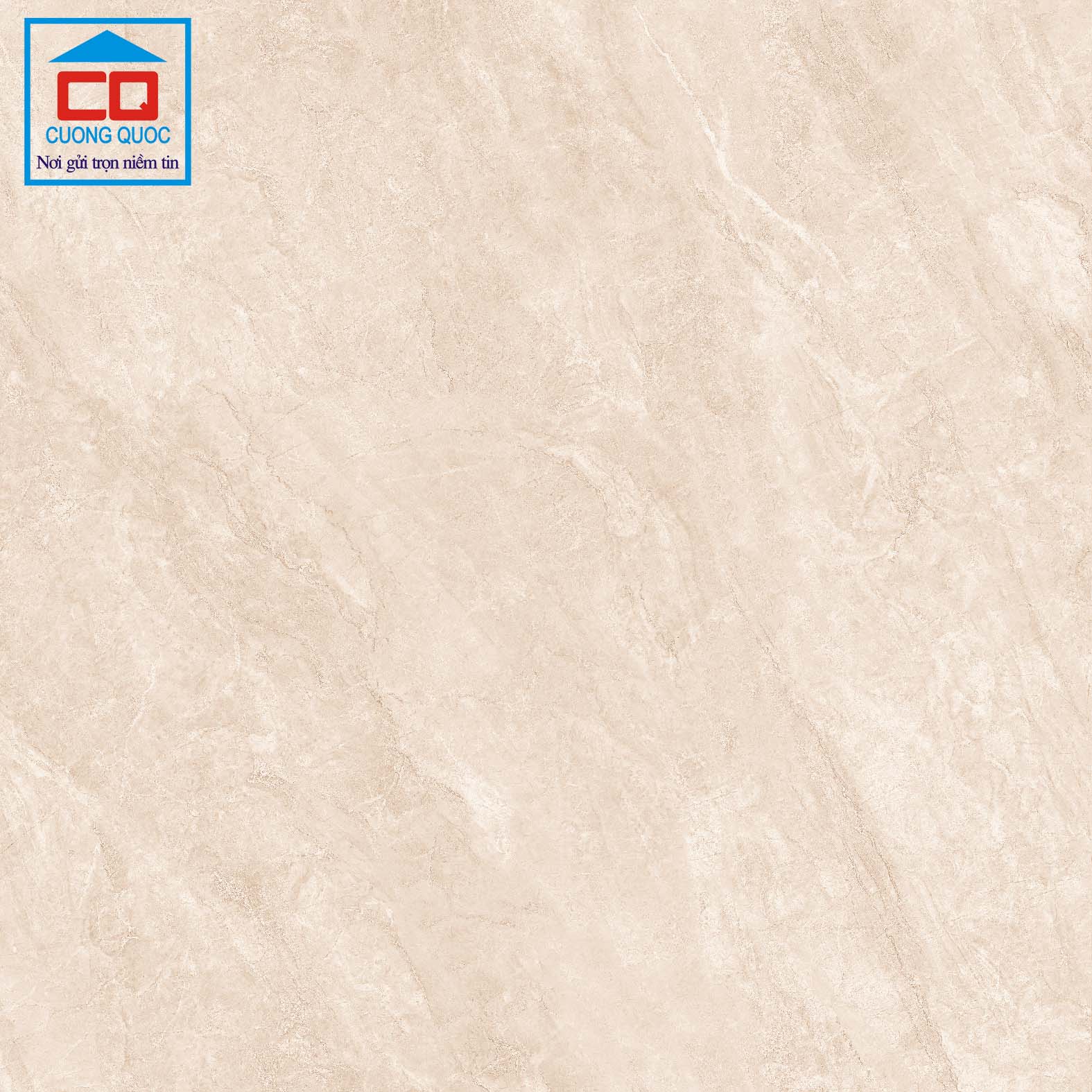 Gạch lát nền Việt Ý 80x80 VY1-P88008