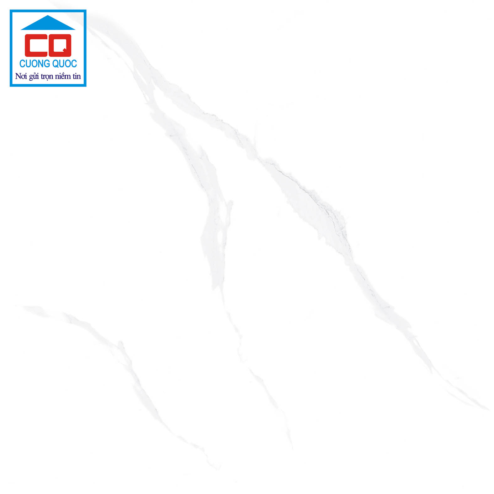 Gạch lát nền Việt Ý 80x80 VY1-P88010