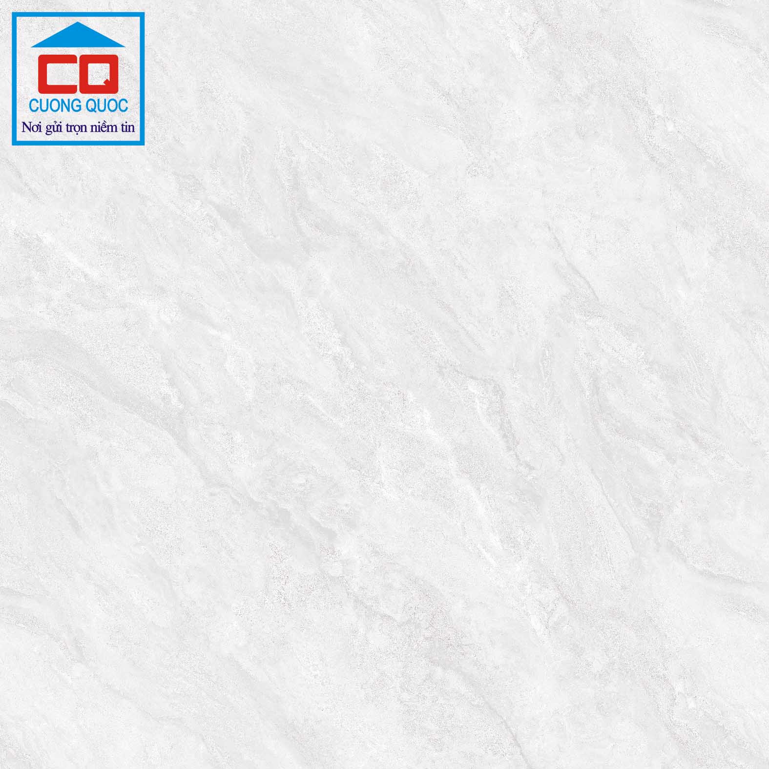 Gạch lát nền Việt Ý 80x80 VY1-P88014