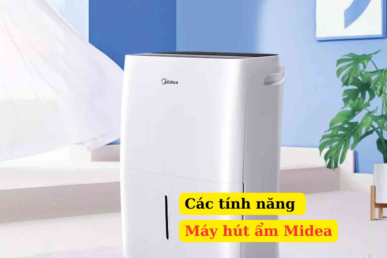 Máy hút ẩm Midea có tính năng gì