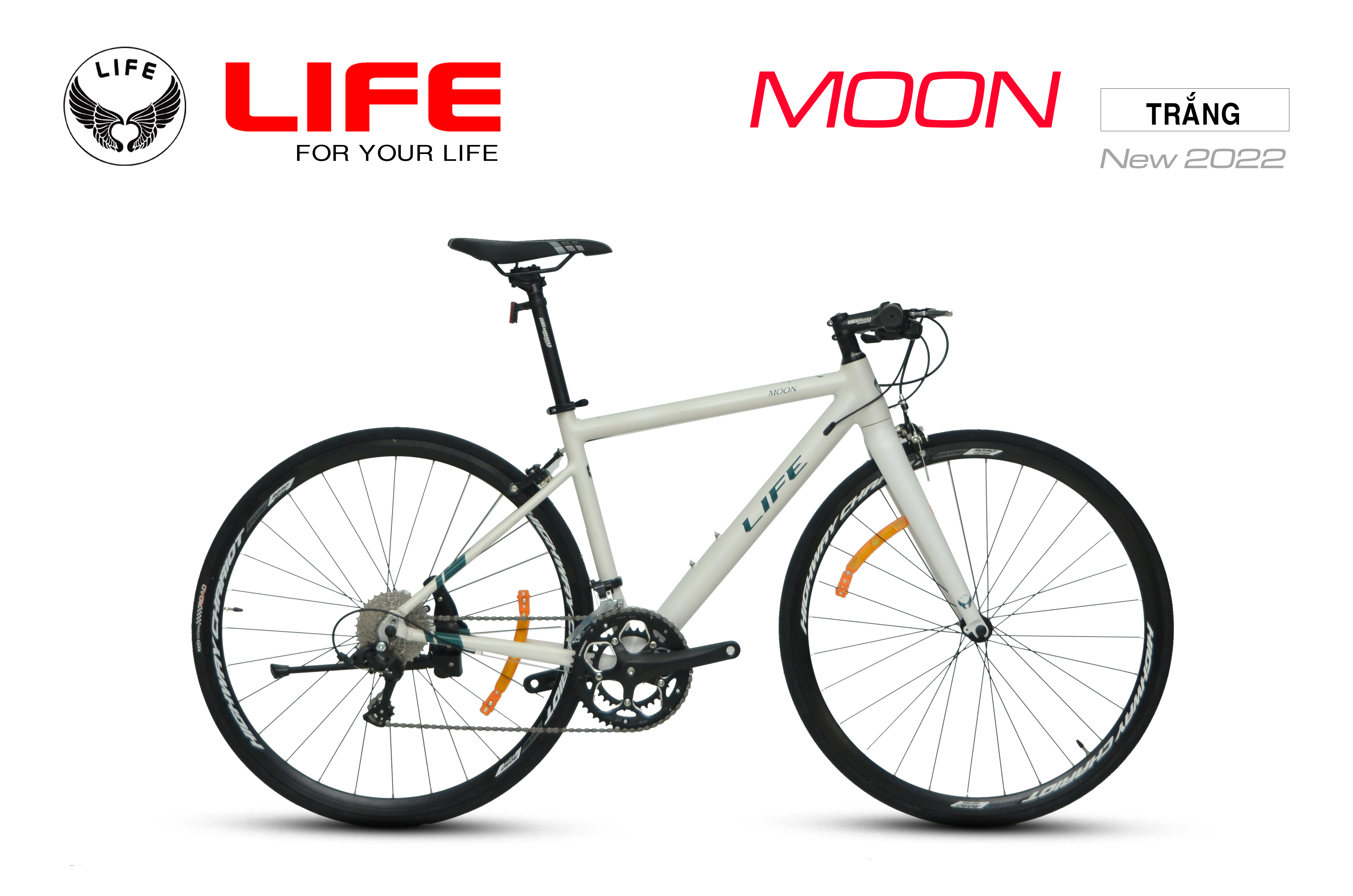 Touring Life Moon