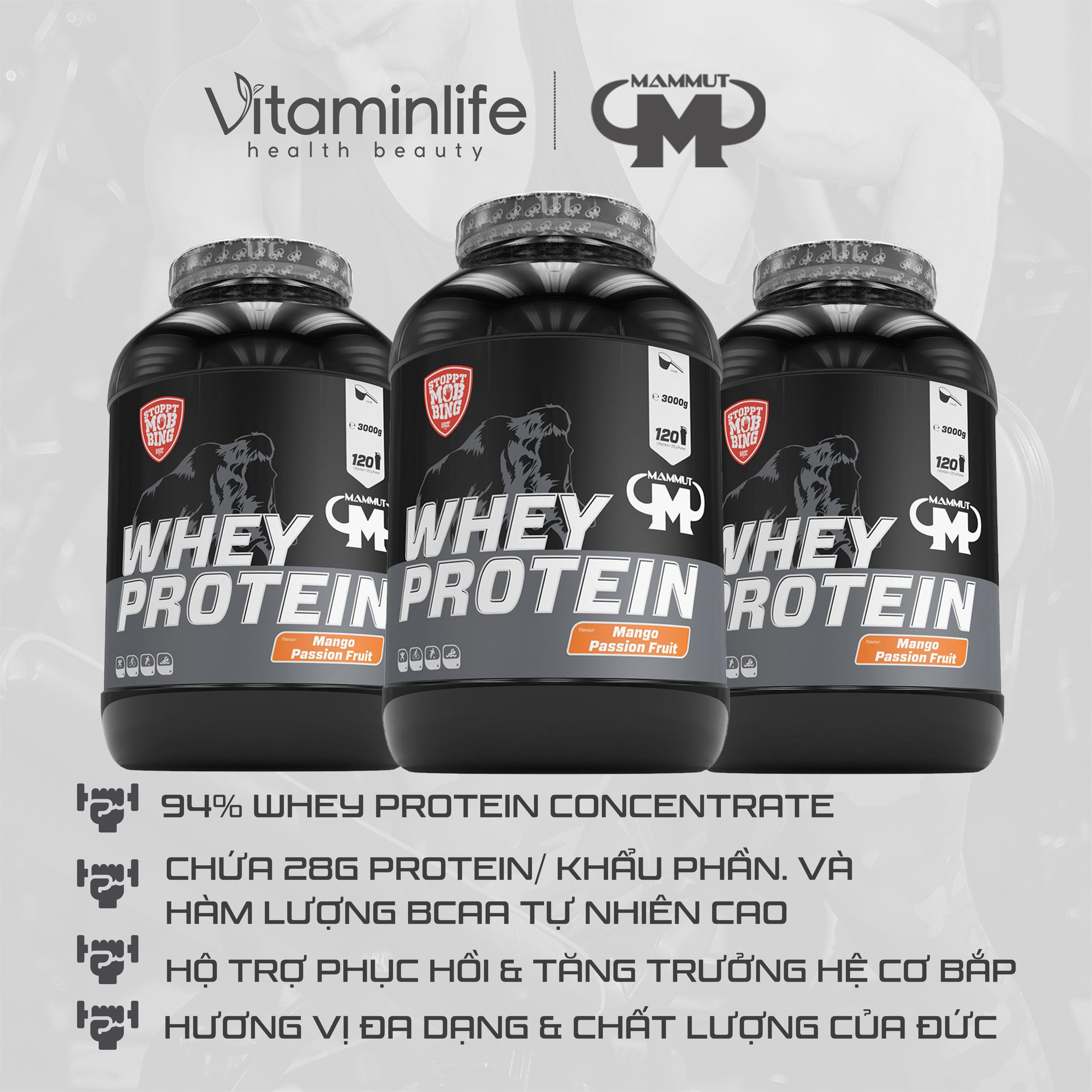 Bột Whey Protein hương trái cây xoài và chanh dây Mammut Nutrition 3000g