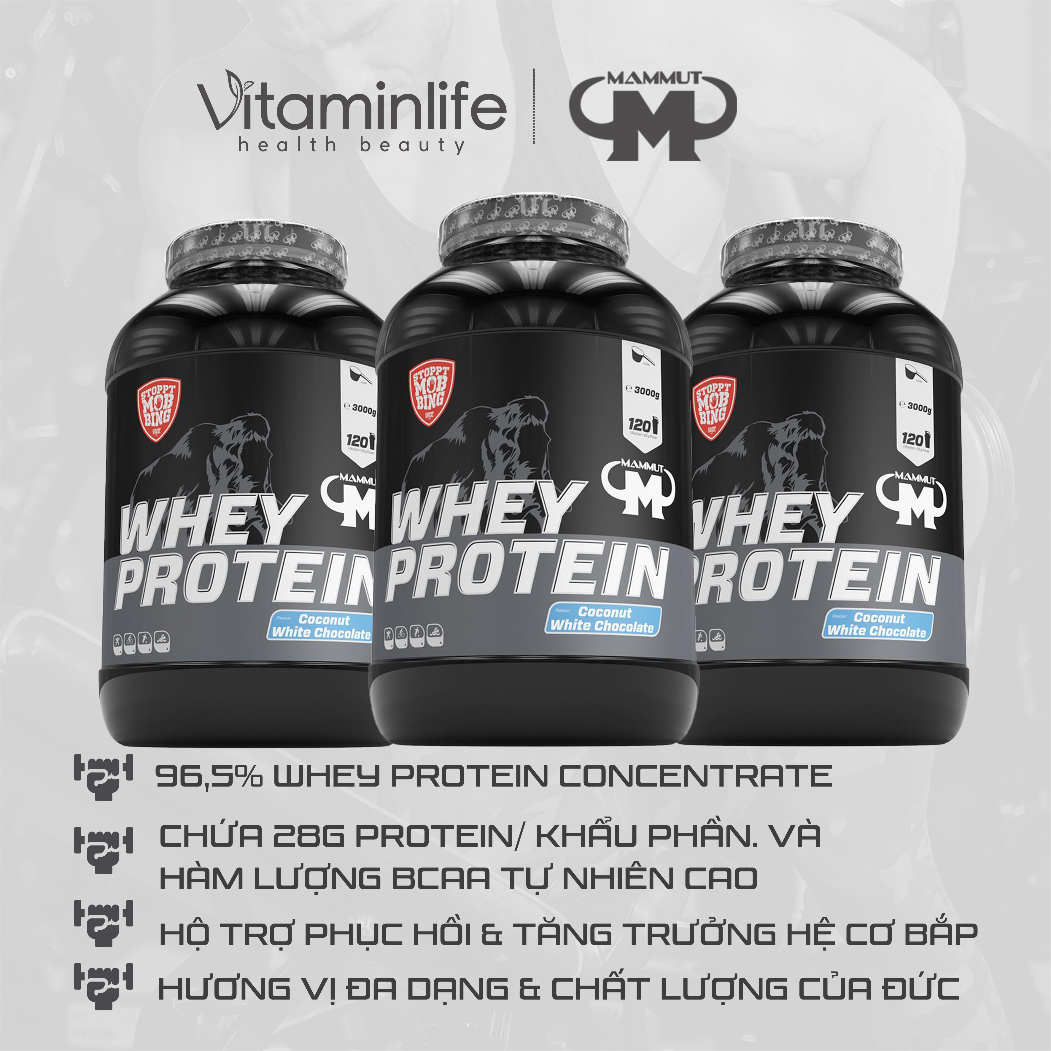 Bột Whey Protein hương dừa và chocolate trắng Mammut Nutrition 3000g