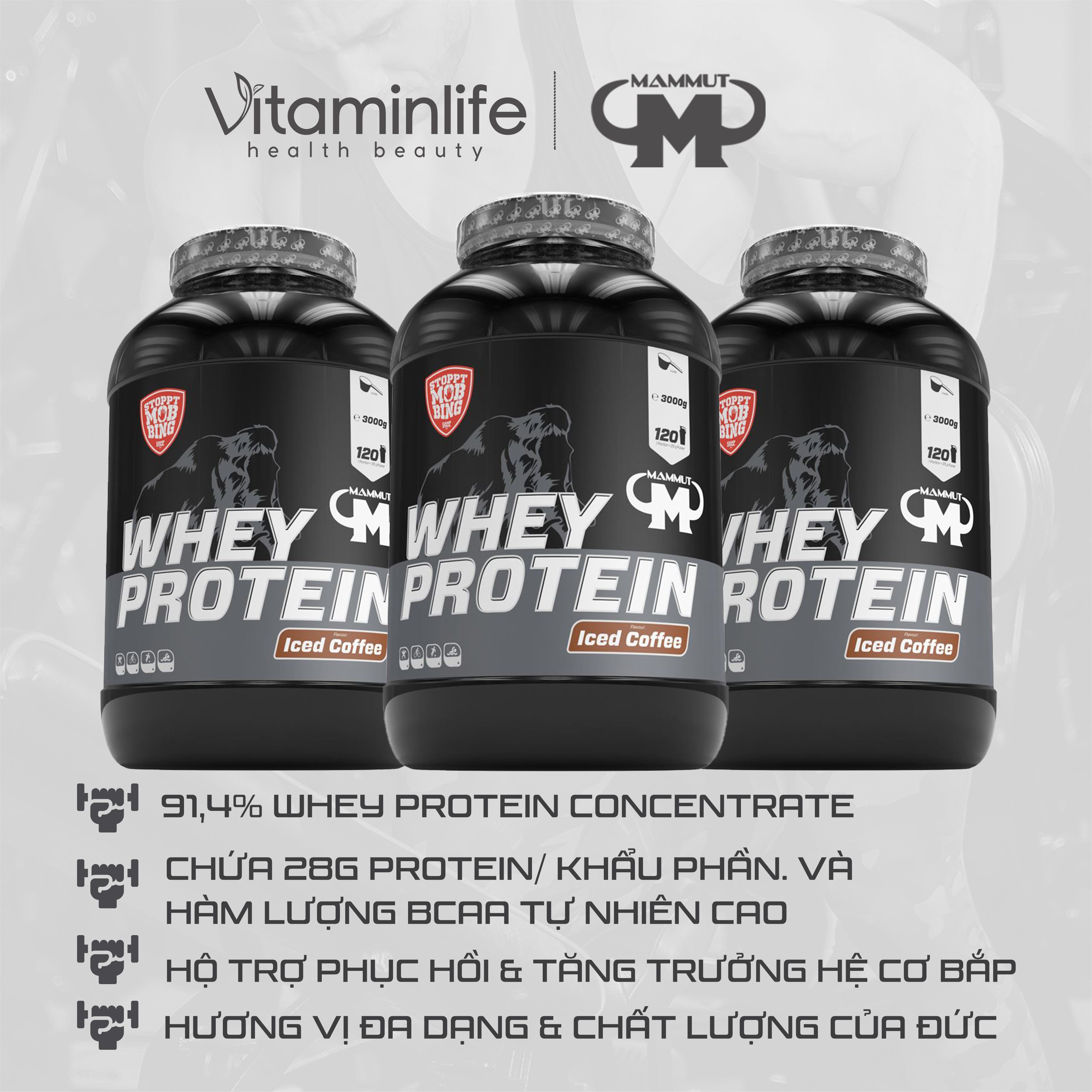 Bột Whey Protein hương vị cà phê đá Mammut Nutrition 3000g