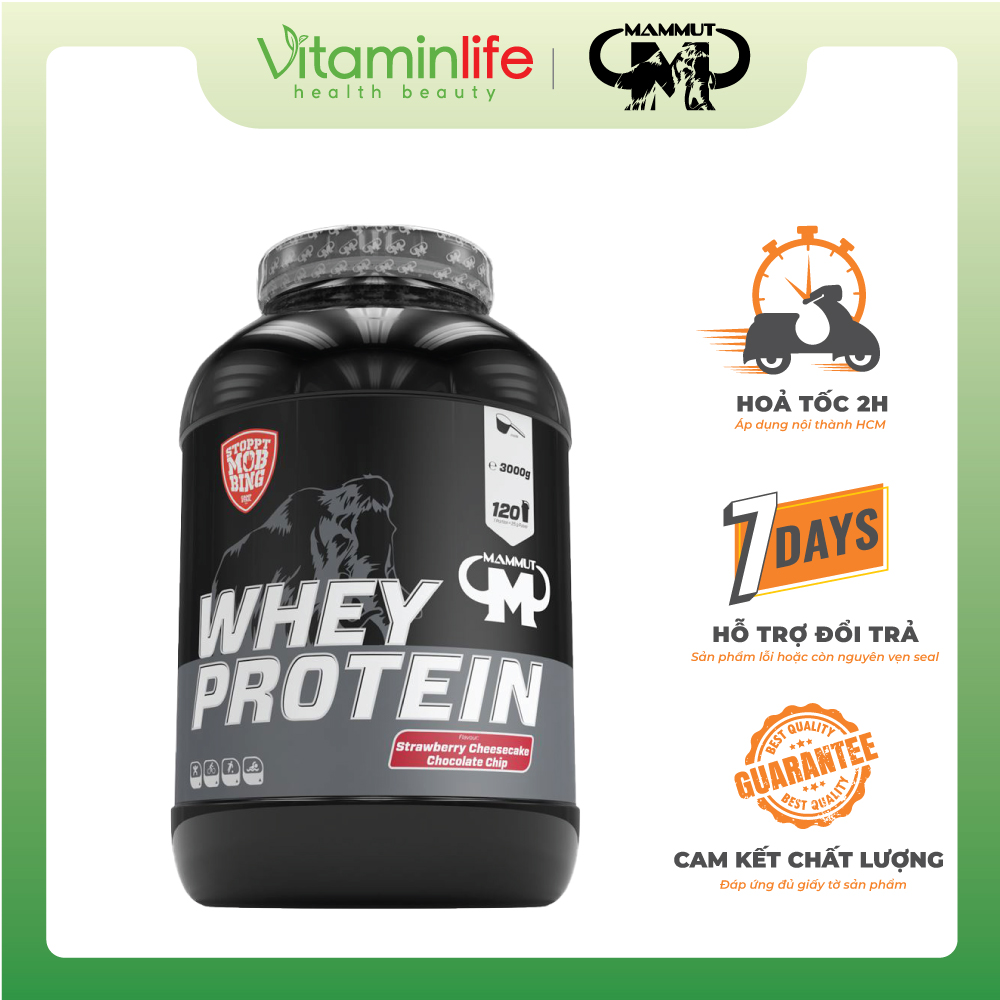 Bột Whey Protein hương dâu phô mai và chocolate chips Mammut Nutrition 3000g