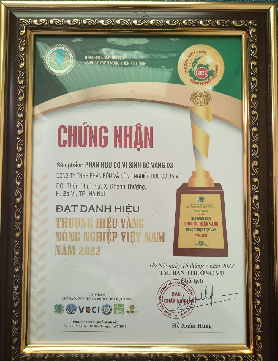 Giải thưởng cho sản phẩm chất lượng của công ty