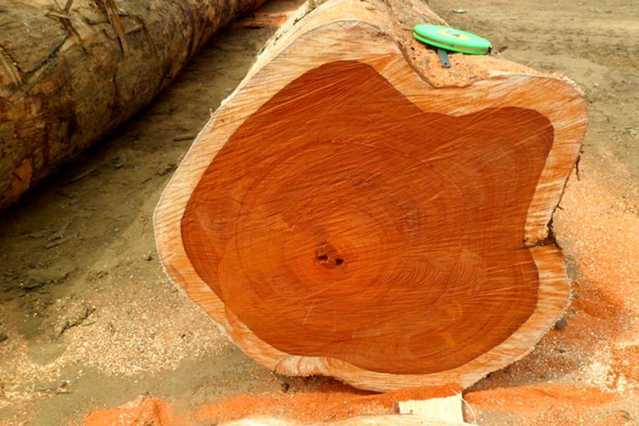 Gỗ Teak