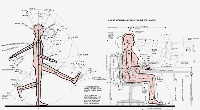 Những Nguyên Tắc Áp Dụng Ergonomic Trong Thiết Kế Nội Thất