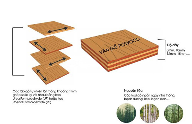 Ván gỗ Plywood là gì?