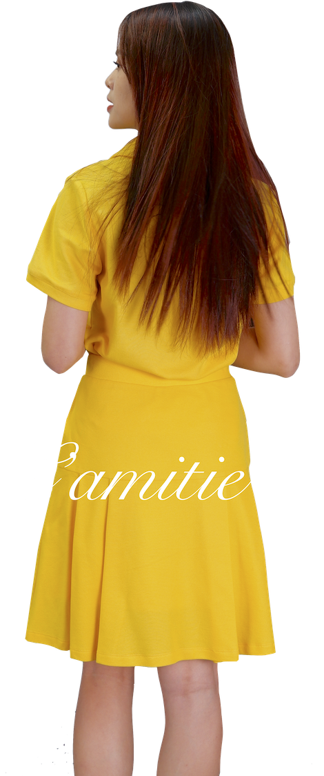 Áo phông cổ đức-AT3