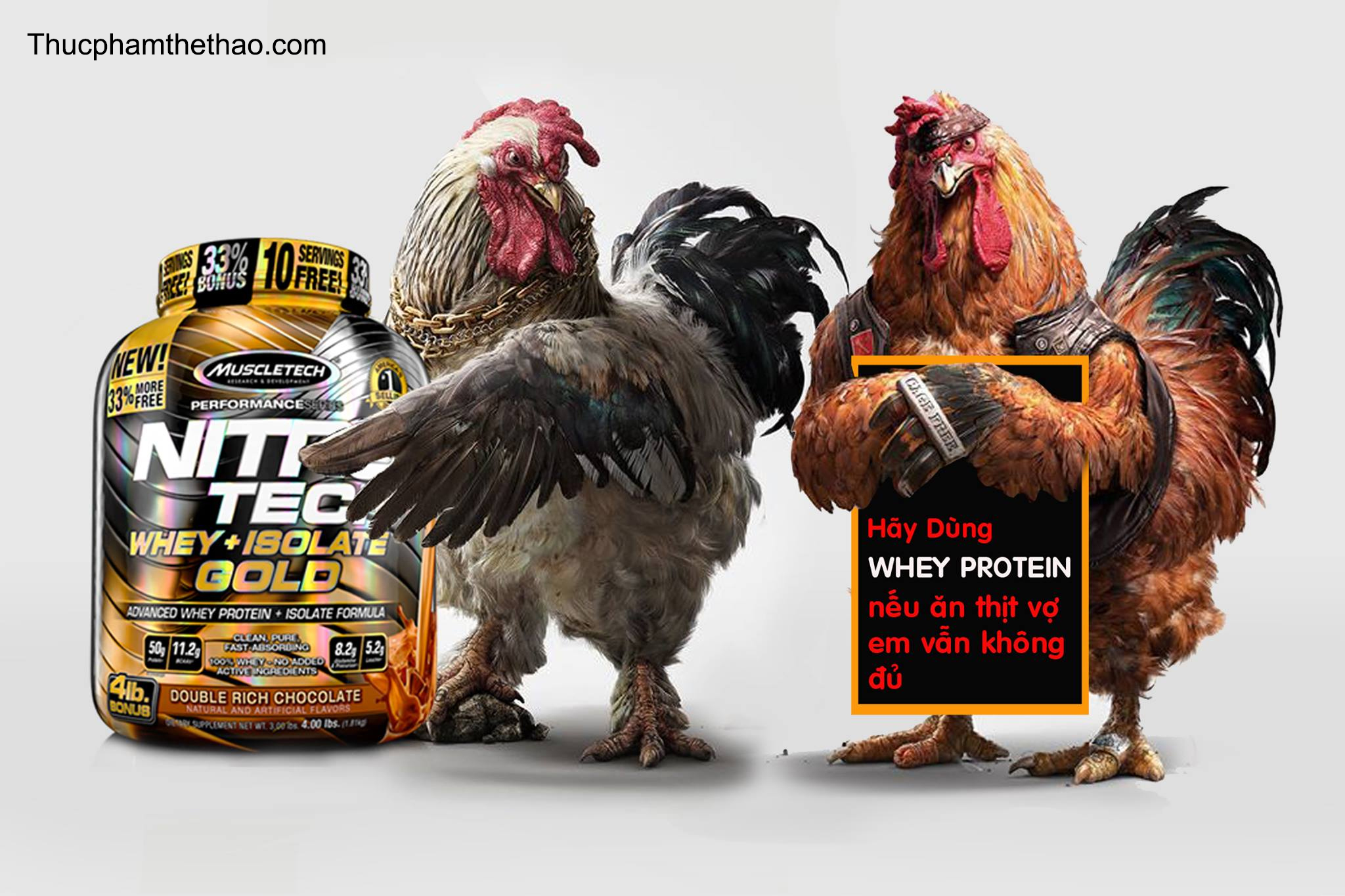 NHỮNG ĐIỀU CƠ BẢN BẠN NÊN BIẾT VỀ WHEY PROTEIN
