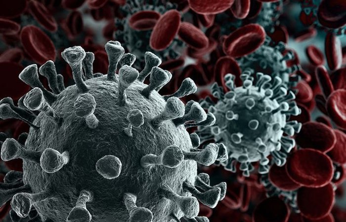 ĐIỀU TÍCH CỰC CỦA VIRUS CORONA MANG LẠI CHO THẾ GIỚI