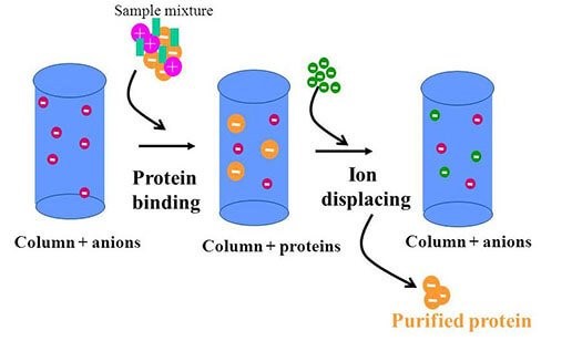 CÔNG NGHỆ LỌC WHEY PROTEIN - ĐIỀU BẠN NÊN BIẾT