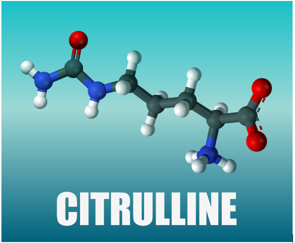 CITRULLINE LÀ GÌ VÀ NÓ CÓ Ở ĐÂU?