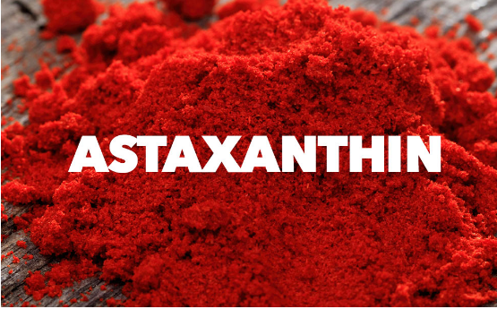 ASTAXANTHIN – MẮC GÌ MÀ TỐT DỮ VẬY?