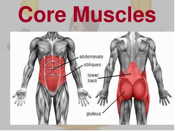 SỰ THẬT VỀ NHÓM CƠ CORE