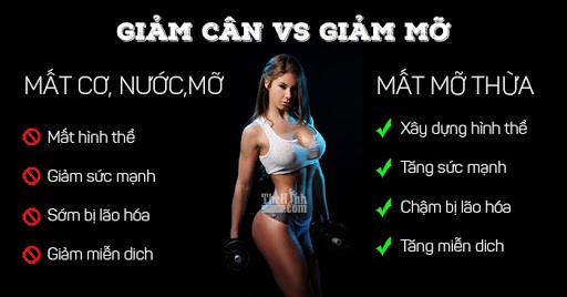 6 CÁCH GIẢM MỠ TÒA THÂN NHƯNG VẪN GIỮ ĐƯỢC LƯỢNG CƠ BẮP TỐI ĐA