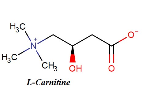 L-CARNITINE – LỢI ÍCH VÀ CÁCH SỬ DỤNG