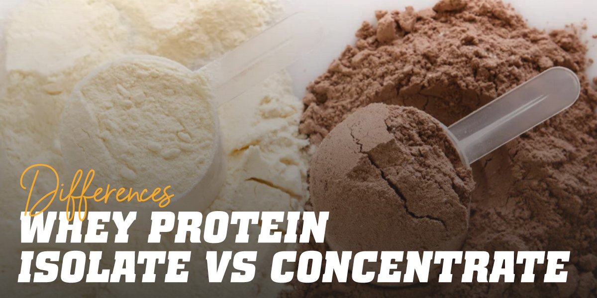 TẤT TẦN TẬT VỀ WHEY PROTEIN ISOLATE VÀ CONCENTRATE