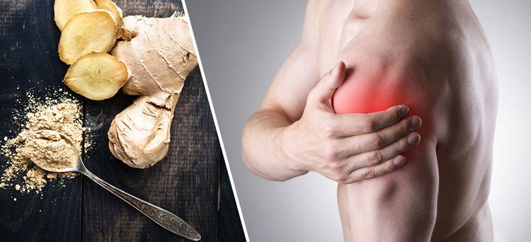 GỪNG GIÚP GIẢM ĐAU CƠ CHO NGƯỜI TẬP THỂ HÌNH NHƯ THẾ NÀO?