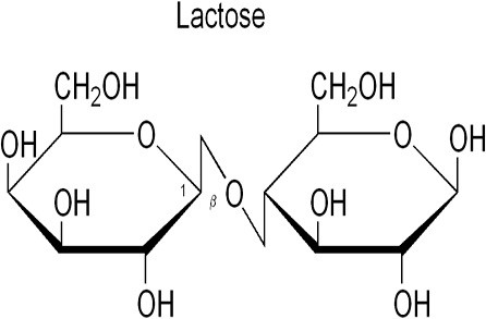 TẤT TẦN TẬT VỀ LACTOSE