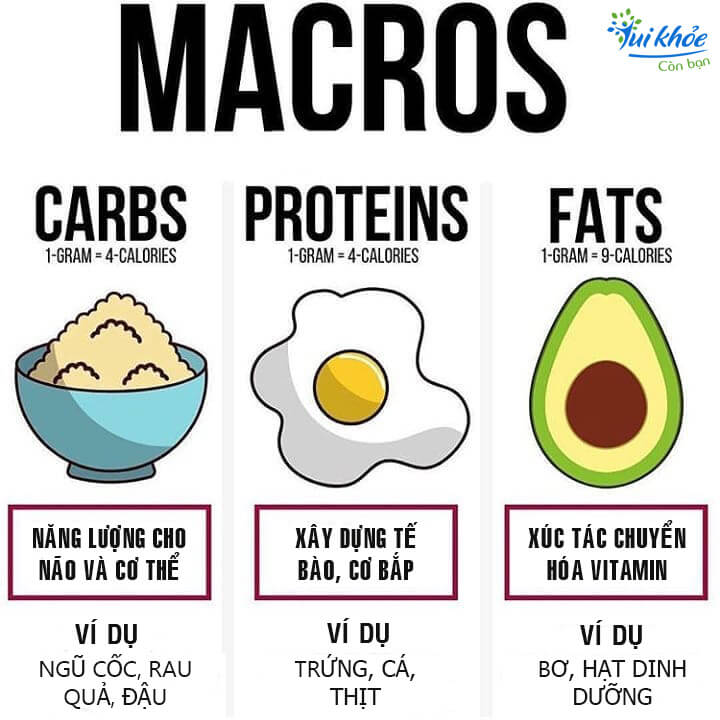 MACROS - CÔNG THỨC DINH DƯỠNG CHO NGƯỜI MUỐN TĂNG CÂN