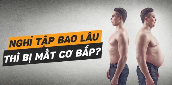 HÃY ĐỌC NGAY BÀI VIẾT NÀY NẾU SỢ NGƯNG TẬP SẼ BỊ MẤT CƠ