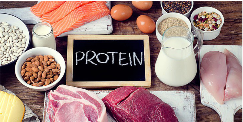 BẬT MÍ TOÀN BỘ VỀ PROTEIN-CARBOHYDRADE-FAT-CHOLESTEROL-CALORIES