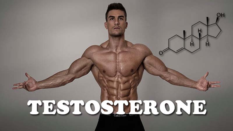 12 thực phẩm tự nhiên giúp tăng testosterone