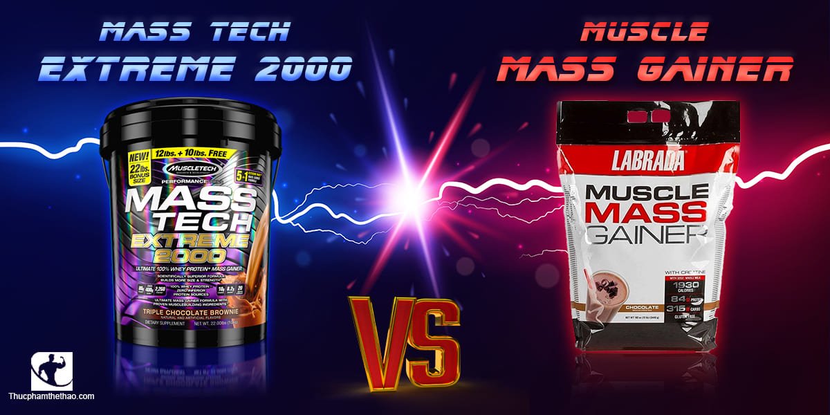 Nên dùng Mass Tech Extreme 2000 hay Muscle Mass Gainer?