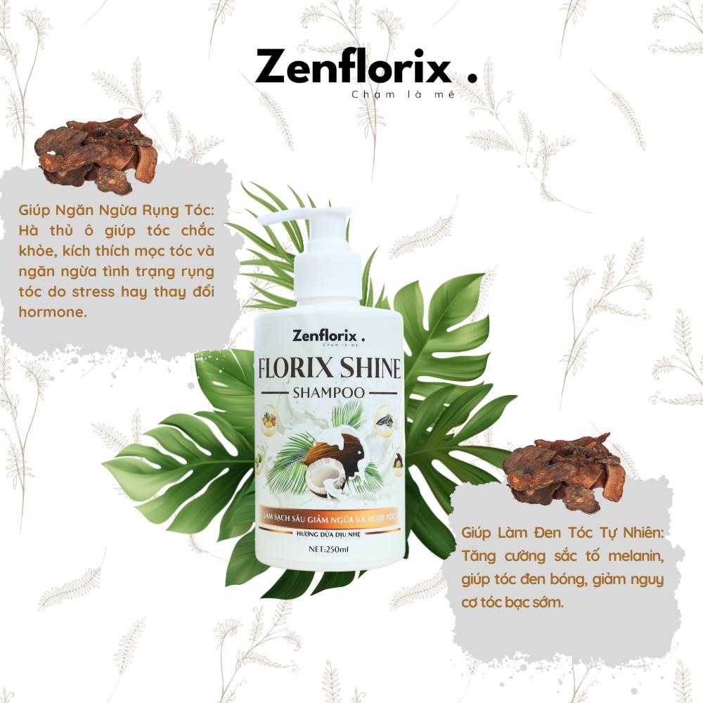 Zenflorix Dầu gội Florix Shine hỗ trợ làm sạch gàu và giảm ngứa da đầu dầu  gội