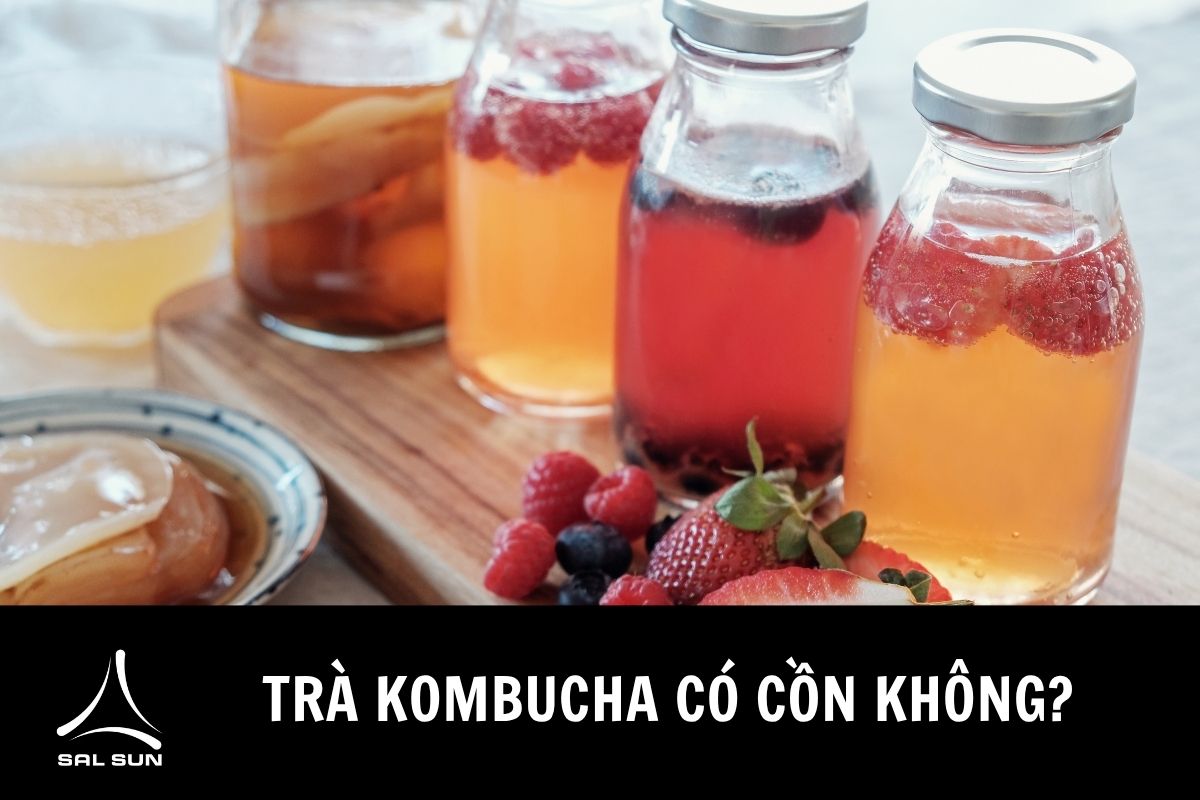 Trà kombucha có cồn không?
