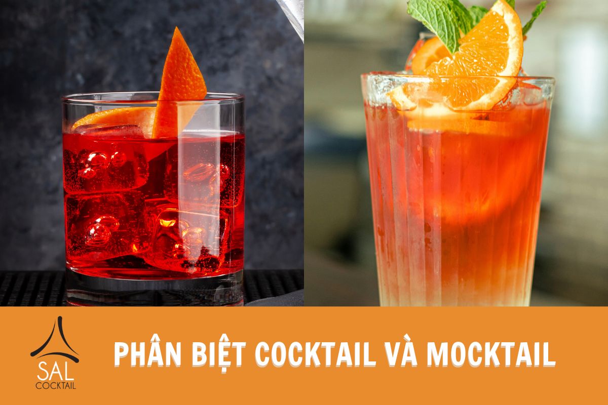 Phân biệt Cocktail và Mocktail Phân biệt Cocktail và Mocktail