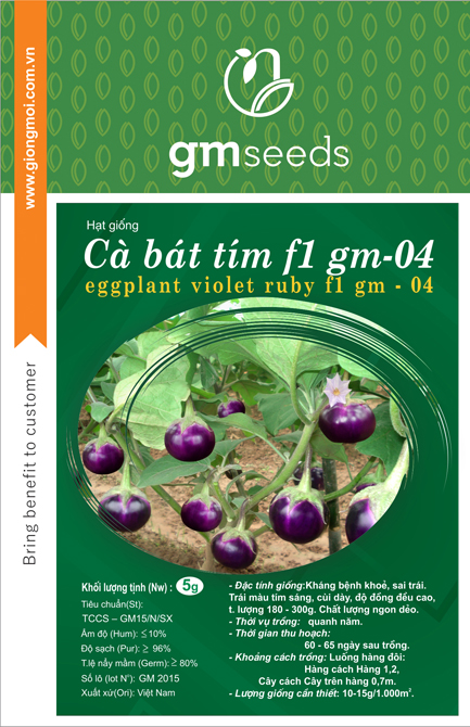 Cà bát tím GM-04