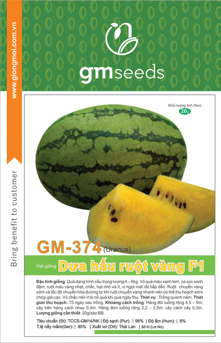 Dưa hấu F1 ruột vàng GM-374