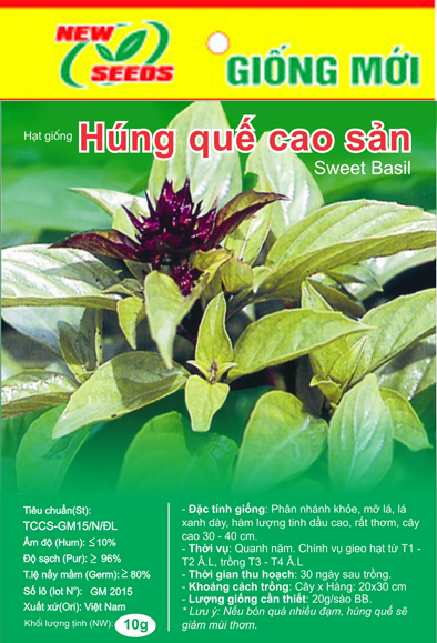 Húng quế cao sản