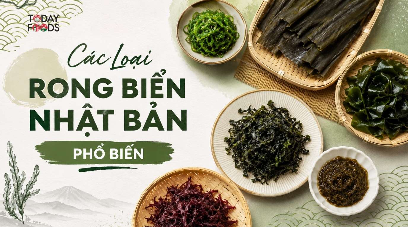 Các Loại Rong Biển Nhật Bản Phổ Biến