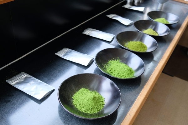 So Sánh Các Loại Matcha Theo Mục Đích Sử Dụng