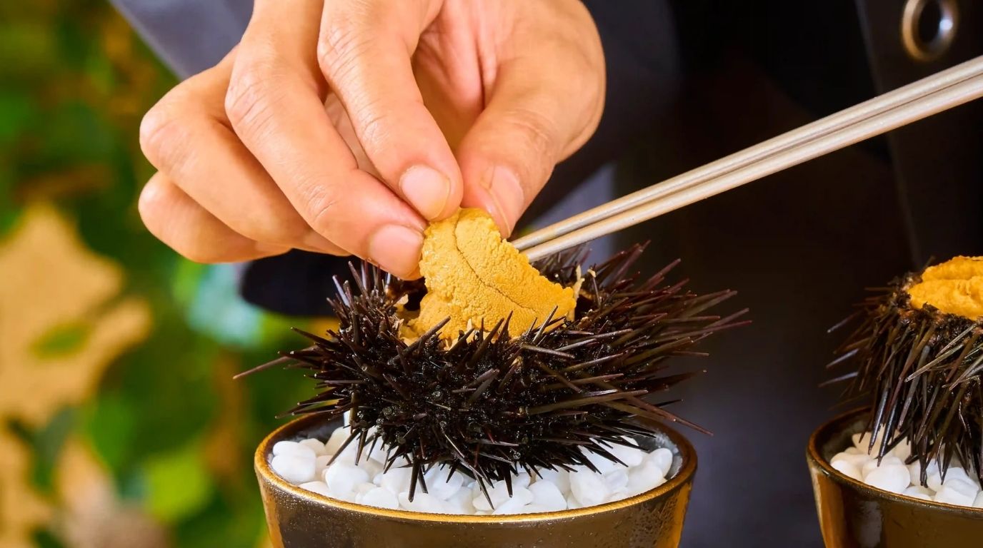 Đánh Giá Cầu Gai Biển Đông Lạnh (Nhum Biển) Hokkaido