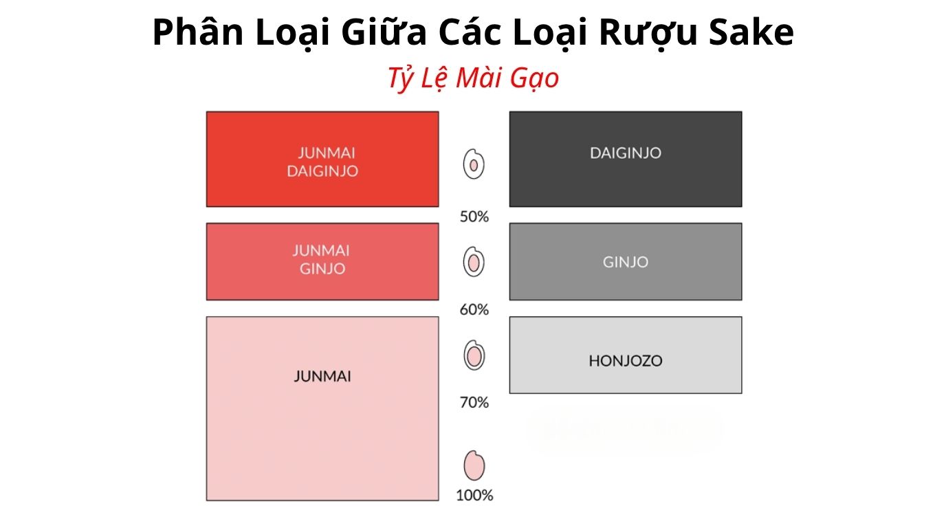 Phân Loại Tỷ Lệ Mài Gạo Giữa Các Loại Rượu Sake