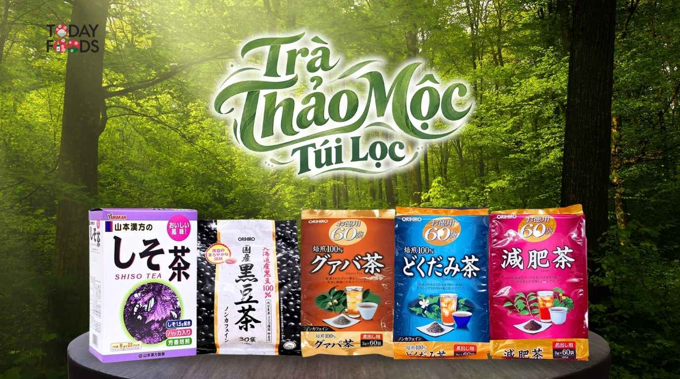 Trà Thảo Mộc Túi Lọc Tại TodayFoods